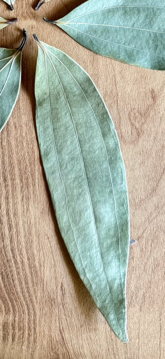 Organic Bay Leaf (Tej Patta)