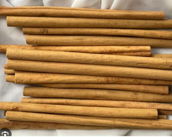Organic True Cinnamon Bark (Dalchini) - C5, Alba Grades